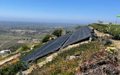 Renewable vs. Nonrenewable Resources