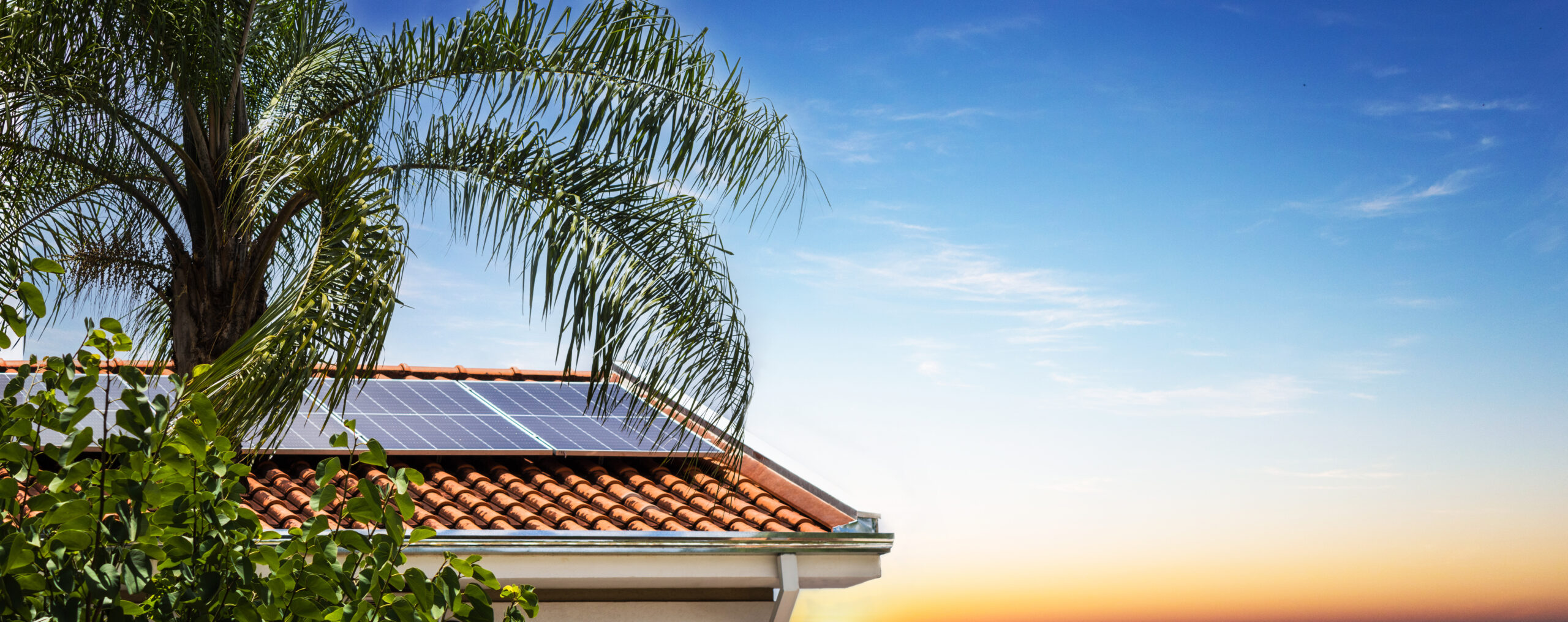 Photovoltaic Instalation Plant in a House With Leafs and Flowers Around at Sunset. Celestial Solar & Water Systems, Inc. solar panels sit on a terracotta roof beneath a clear blue sky, framed by a palm tree and lush green foliage.